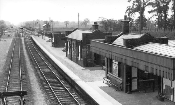 Click for full size image in a pop-up window. Use 'X' to close