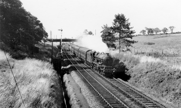 Click for full size image in a pop-up window. Use 'X' to close