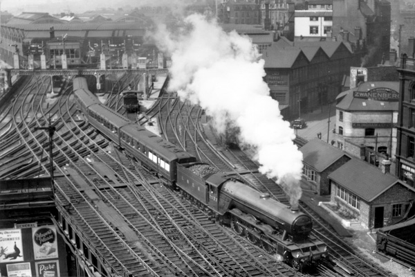 Click for full size image in a pop-up window. Use 'X' to close