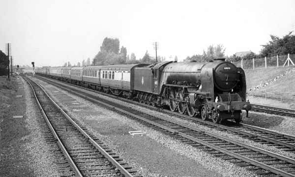 Click for full size image in a pop-up window. Use 'X' to close