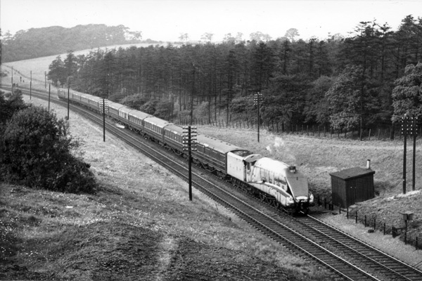 Click for full size image in a pop-up window. Use 'X' to close