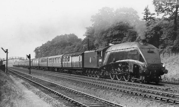 Click for full size image in a pop-up window. Use 'X' to close