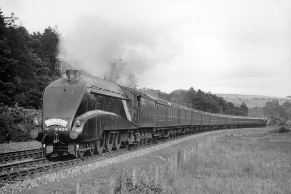 Click for full size image in a pop-up window. Use 'X' to close