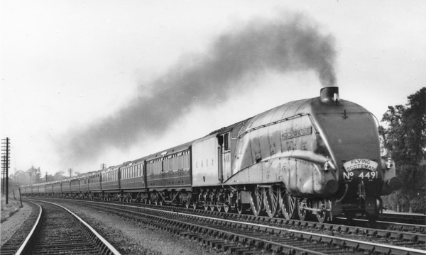 Click for full size image in a pop-up window. Use 'X' to close