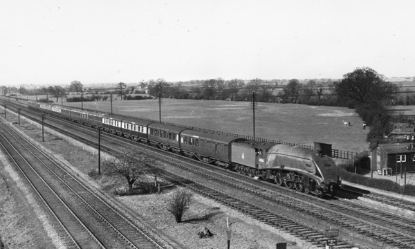 Click for full size image in a pop-up window. Use 'X' to close