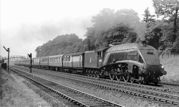 Click for full size image in a pop-up window. Use 'X' to close