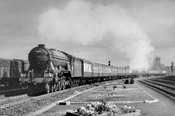 Click for full size image in a pop-up window. Use 'X' to close