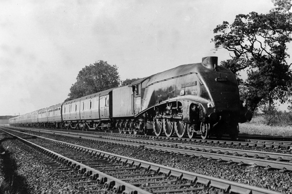 Click for full size image in a pop-up window. Use 'X' to close