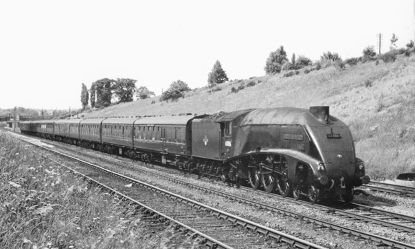 Click for full size image in a pop-up window. Use 'X' to close