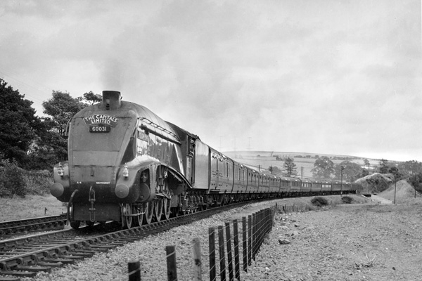 Click for full size image in a pop-up window. Use 'X' to close