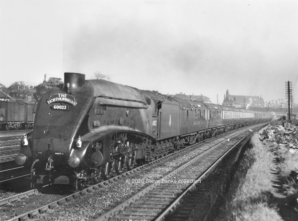 Click for full size image in a pop-up window. Use 'X' to close