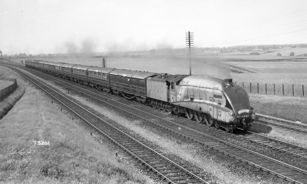 Click for full size image in a pop-up window. Use 'X' to close