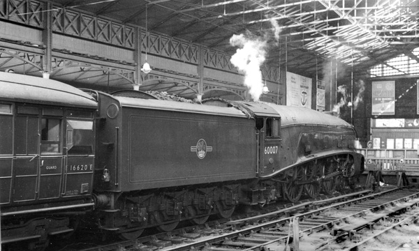 Click for full size image in a pop-up window. Use 'X' to close