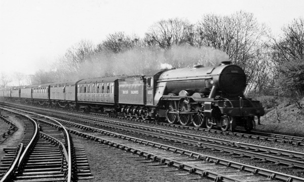 Click for full size image in a pop-up window. Use 'X' to close