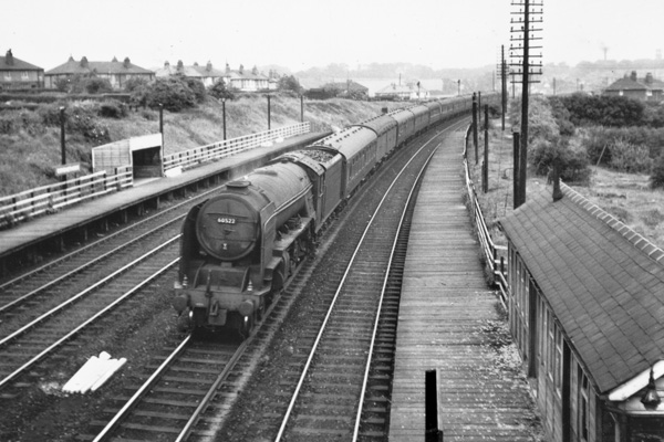 Click for full size image in a pop-up window. Use 'X' to close