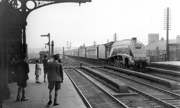 Click for full size image in a pop-up window. Use 'X' to close