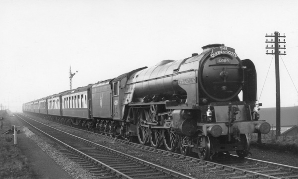 Click for full size image in a pop-up window. Use 'X' to close