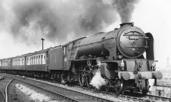 Click for full size image in a pop-up window. Use 'X' to close