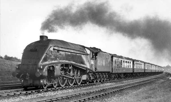 Click for full size image in a pop-up window. Use 'X' to close