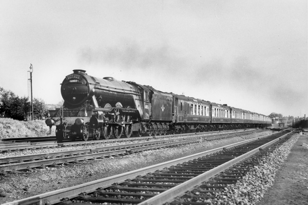 Click for full size image in a pop-up window. Use 'X' to close