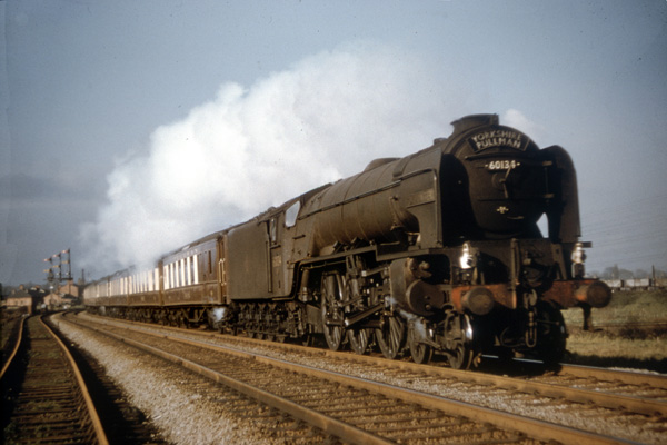 Click for full size image in a pop-up window. Use 'X' to close