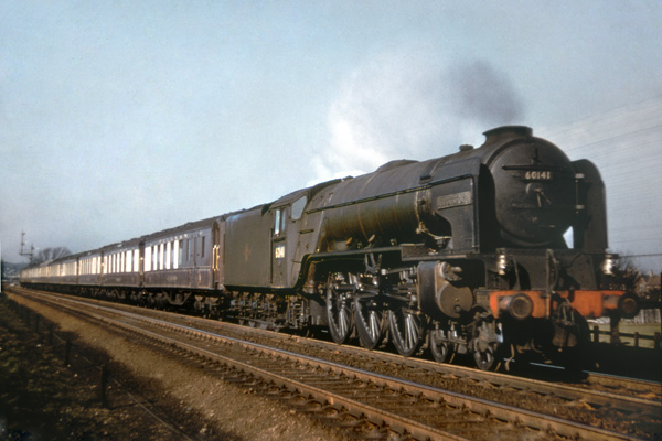 Click for full size image in a pop-up window. Use 'X' to close