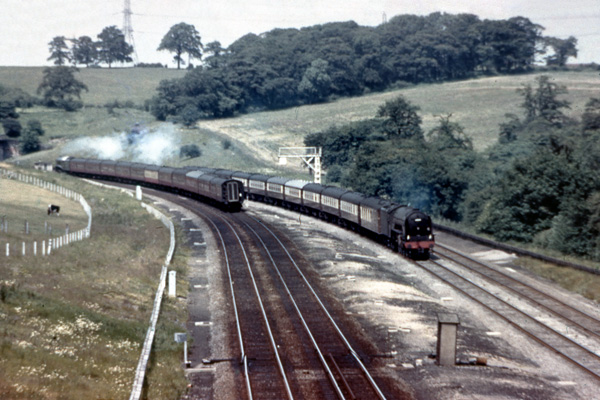 Click for full size image in a pop-up window. Use 'X' to close