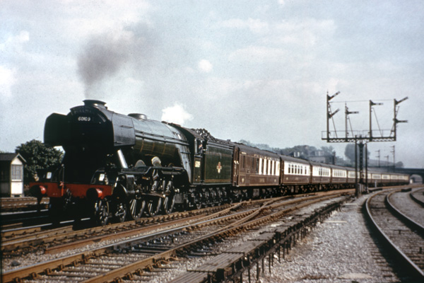 Click for full size image in a pop-up window. Use 'X' to close